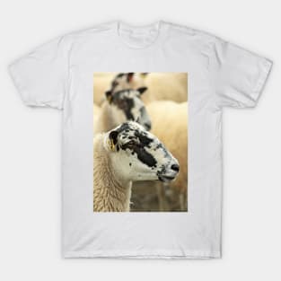 More Sheep T-Shirt